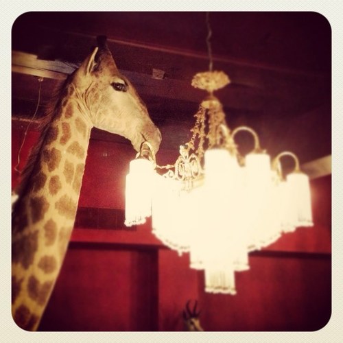 GCLebowski's profile picture. Grand cafe, Hip/bruin, Dj's en quizzen, Borrel, Lunch & diner, groepen tot 200 personen