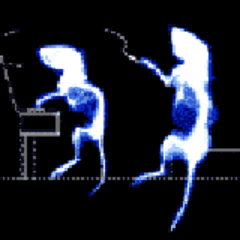 _SLAKER_'s profile picture. 3rd動画勢。
最近は料理や、工具箱でビオトープ。
Mr.Children･エレカシ･フジファブ等のライブに参加、会場の都合で遠出になると、ついでの観光･旅行。