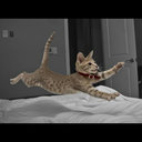 ω (@0533205686) Twitter