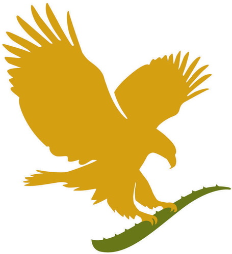 VeraSanitas's profile picture. Wij werken samen met een grote multinational en richten ons op gezondheid inwendig, uitwendig en in de portemonnee. Interesse? verasanitas@gmail.com