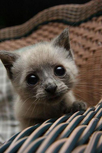 ohseunghoon61's profile picture. 