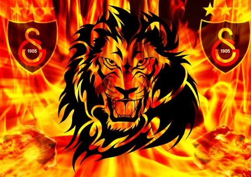 aydinskrc's profile picture. 