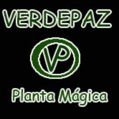 Integrantes:

Diego Moura - Bateria
Rafael Veber - Guitarra / Voz
Lucas Canevarollo - Baixo