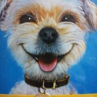mizzi (@kuhchen3) 's Twitter Profile Photo