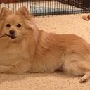 Stacey Hinton - @shebai1976 - Twitter