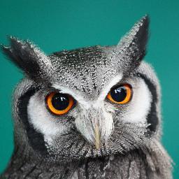 VirtualCambs's profile picture. Tweeting and retweeting about everything Cambridge