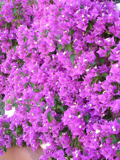 JoBelton's profile picture. 