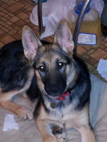 eawalker59's profile picture. born in Jax. Fla.-southern boy who likes politics and history.