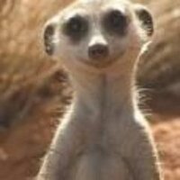 Clémence Courbet (@clemencecourbet) 's Twitter Profile