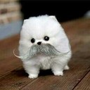 Abby Bingham - @Abigaillynne24 - Twitter