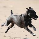 Ben Haskins - @OnlyBen29 - Twitter