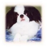 tsunnaky (@tsunnaky) 's Twitter Profile Photo tsunnaky (@tsunnaky) 's Twitter Profile Photo