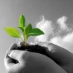 controllosicuro's profile picture. Siamo consulenti in sicurezza. Il nostro gruppo ha una consolidata formazione ed una lunga esperienza nel settore della sicurezza sul lavoro.