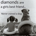 Melissa Botting - @mabotting - Twitter