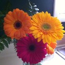 jen mackey - @jen_mackey - Twitter