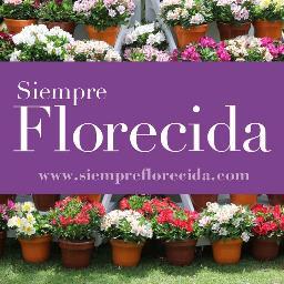 Las más hermosas Alstroemerias y Claveles de maceta, únicas en Colombia siempreflorecida@gmail.com