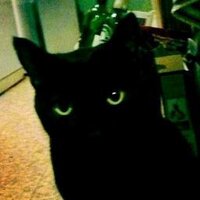 Matilda Smith (@tildalein) 's Twitter Profile