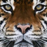 Cedar715 :) (@cedar715) 's Twitter Profile