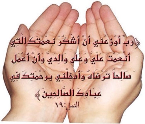 إفعل الخير مهما استصغرته فلا تدري أي حسنة تدخلك الجنة ..