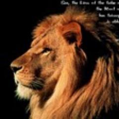 otassev's profile picture. 