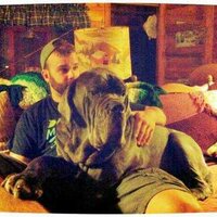Aaron Smith (@smizzles) 's Twitter Profile