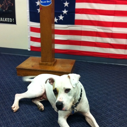 404quest's profile picture. Warrior/Poet