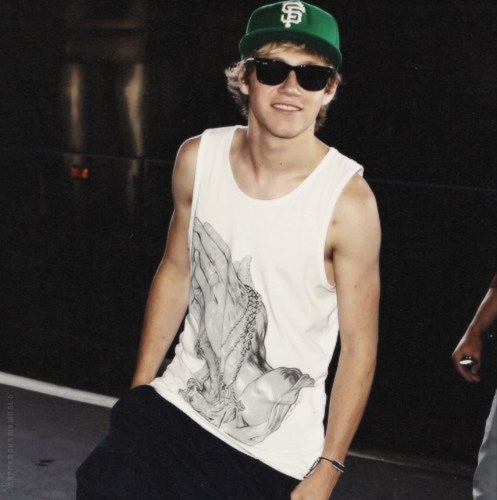 {RP/Single} Im niall. And im just an Irish loveable food loving boy. I actually love my nandos alot! Please keep your hands off my food. Im straight tho guys!