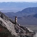 Joe smiley - @darealjoesmiley - Twitter