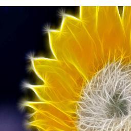 bickingphoto's profile picture. Photographer working to bring fun photos to friends and family.