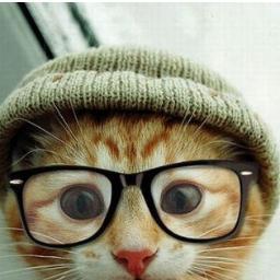 SpanishCat_21's profile picture. Pierce The Veil, Sleeping With Sirens, 30SecondsToMars. Bro, tribute. 31/10/13