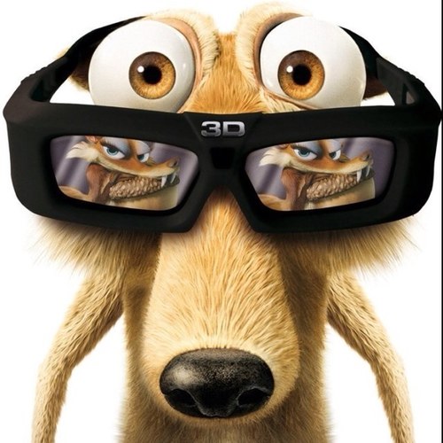 kreiskariert's profile picture. 