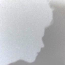 Antisubjectif's profile picture. 