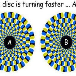 UmedShah's profile picture. 