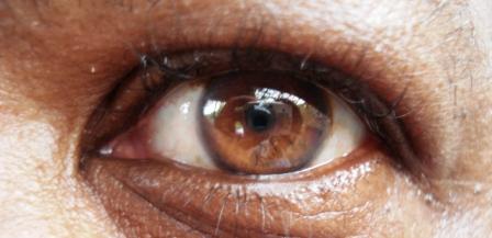 croozcntrl's profile picture. 