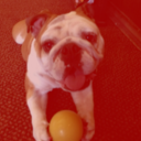 Emily Severance - @emseverance - Twitter