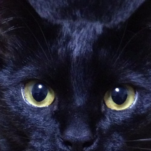 isorihiepnas's profile picture. 【アウトドア】キャンプ／釣り【インドア】飲酒／映画鑑賞／観葉植物