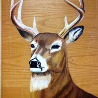 Ridgely MS (@ridgelymiddle) 's Twitter Profile