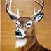 Ridgely MS (@ridgelymiddle) Twitter profile photo Ridgely MS (@ridgelymiddle) Twitter profile photo