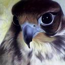 نسر الشرق (@009Mw) Twitter
