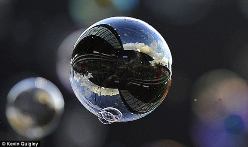 DiMitesh's profile picture. 