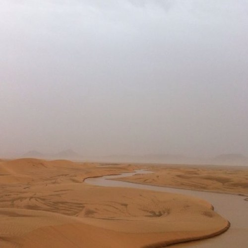 abomot3b00's profile picture. 