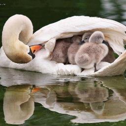 DilberToktas's profile picture. Avukat