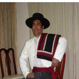 Profesional Independiente
Gerente Propietario
Servicios DST