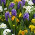 Ledbury in Bloom (@ledburybloom) Twitter profile photo Ledbury in Bloom (@ledburybloom) Twitter profile photo