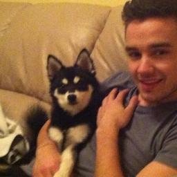 Woof! I'm Loki, @Real_Liam_Payne and @DaniellePeazer 's dog