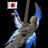 xo_pekemaru_xo