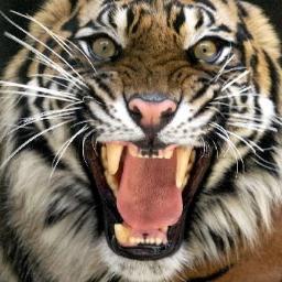 johnezay's profile picture. im the swag boy you know that so dont mess with me.