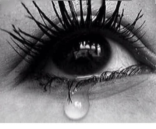 woooow_7's profile picture. رحمك الله ياابي