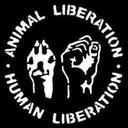 KS - @KristaSimonSays - Twitter