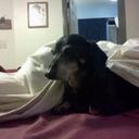 Kathy Curtis - @emac96 - Twitter